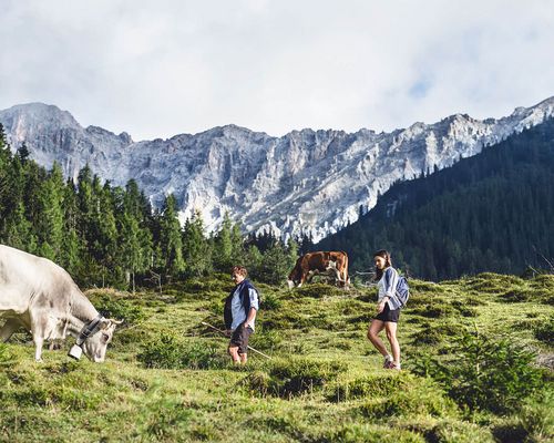 Wanderung zur Alm