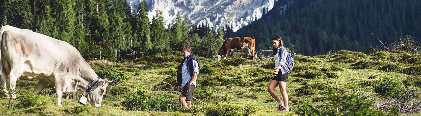 Wanderung auf der Alm