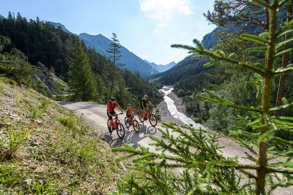 Familie beim Mountainbiken