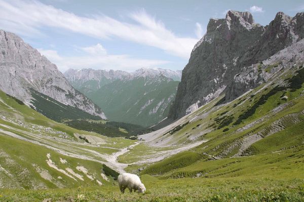 Blick ins Puittal in der Leutasch