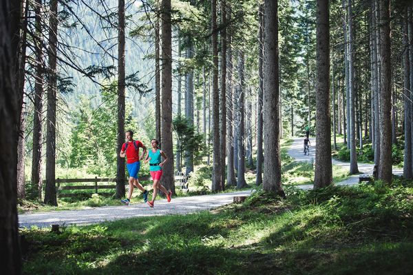 Zwei Jogger im Wald