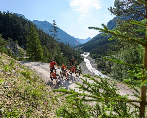 Familie beim Mountainbiken