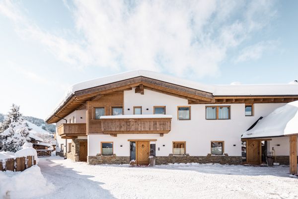 Löwen-Chalets im Winter