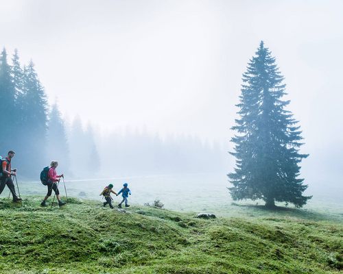 Familienwanderung bei Nebel