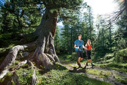 Wanderer im Wald