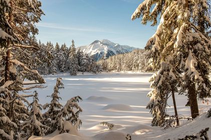 Winterlandschaft