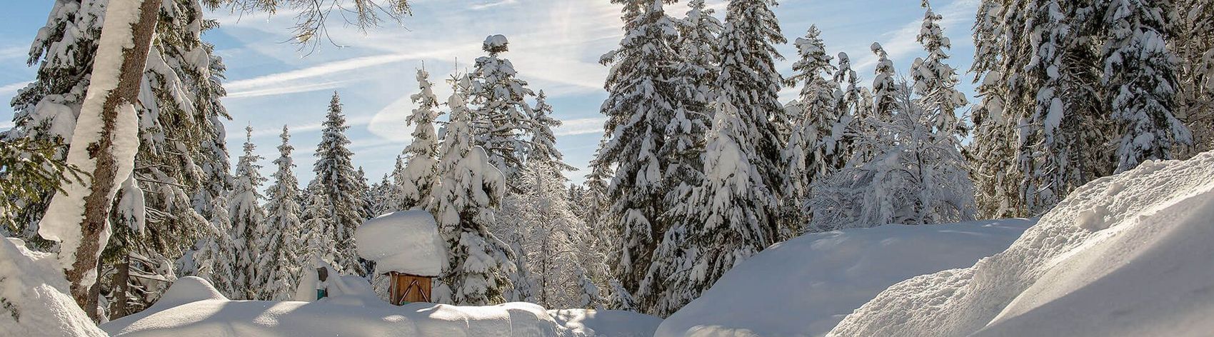 Tief verschneiter Winterwanderweg in Seefeld