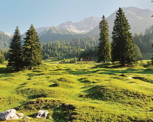 Almen Paradies Gaistaal