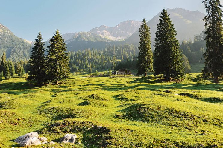 Almen Paradies Gaistaal