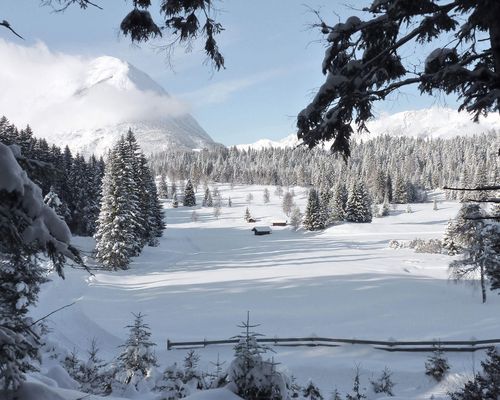 Verschneite Berglandschaft