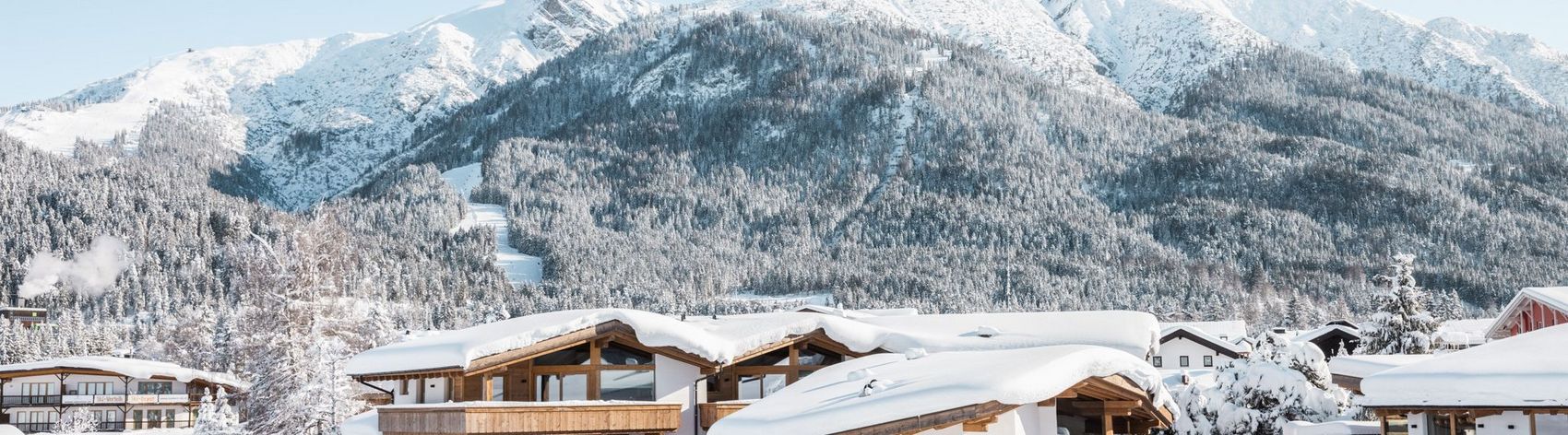 Außenansicht Löwenchalets Winter