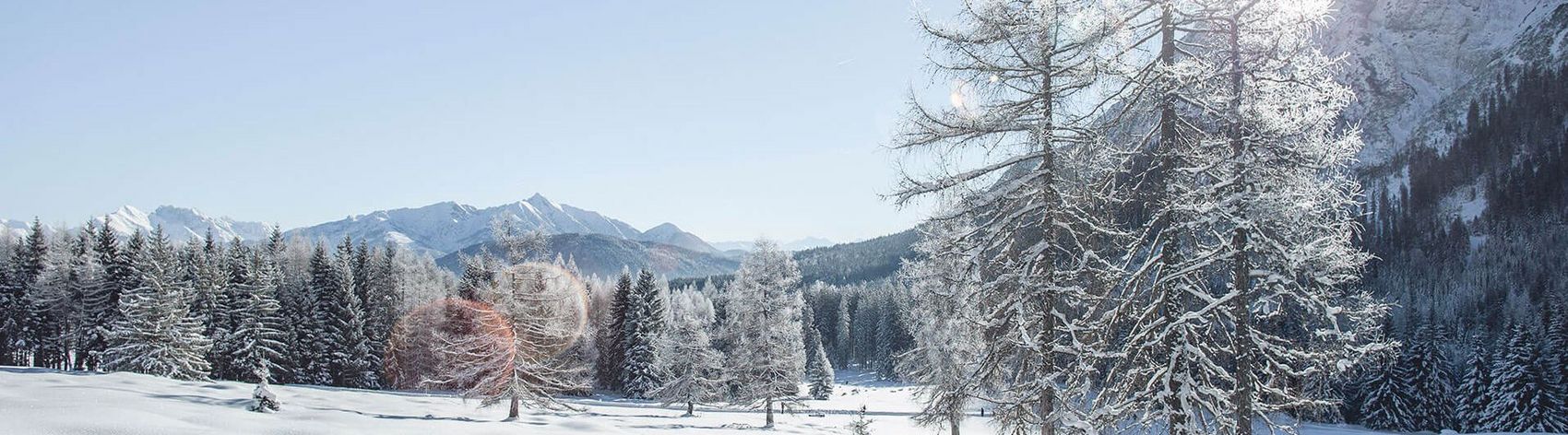 Sonnige Winterlandschaft